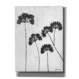 'Queen Anne's Lace II' by Roey Ebert, Canvas, Wall Art
