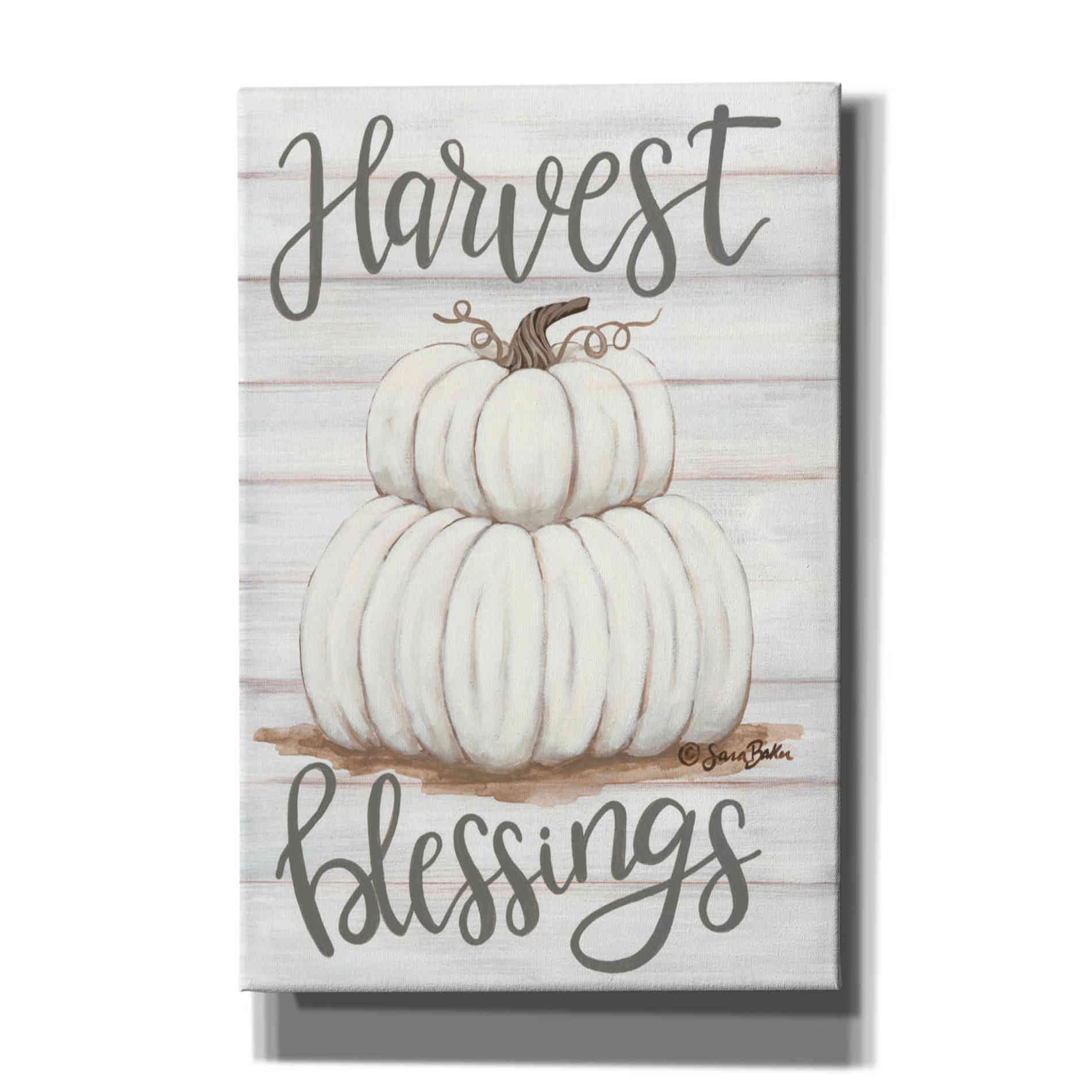 'Harvest Blessings' by Sara Baker, Canvas, Wall Art