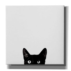 'Curiosity' by Jon Bertelli, Canvas Wall Art