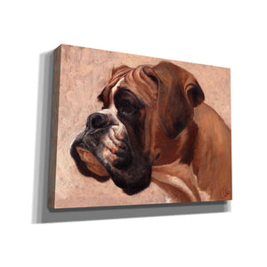 'Boxer' by Thomas Fluharty, Canvas Wall Art