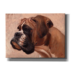 'Boxer' by Thomas Fluharty, Canvas Wall Art