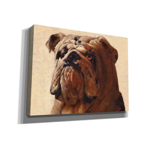 'Bulldog' by Thomas Fluharty, Canvas Wall Art