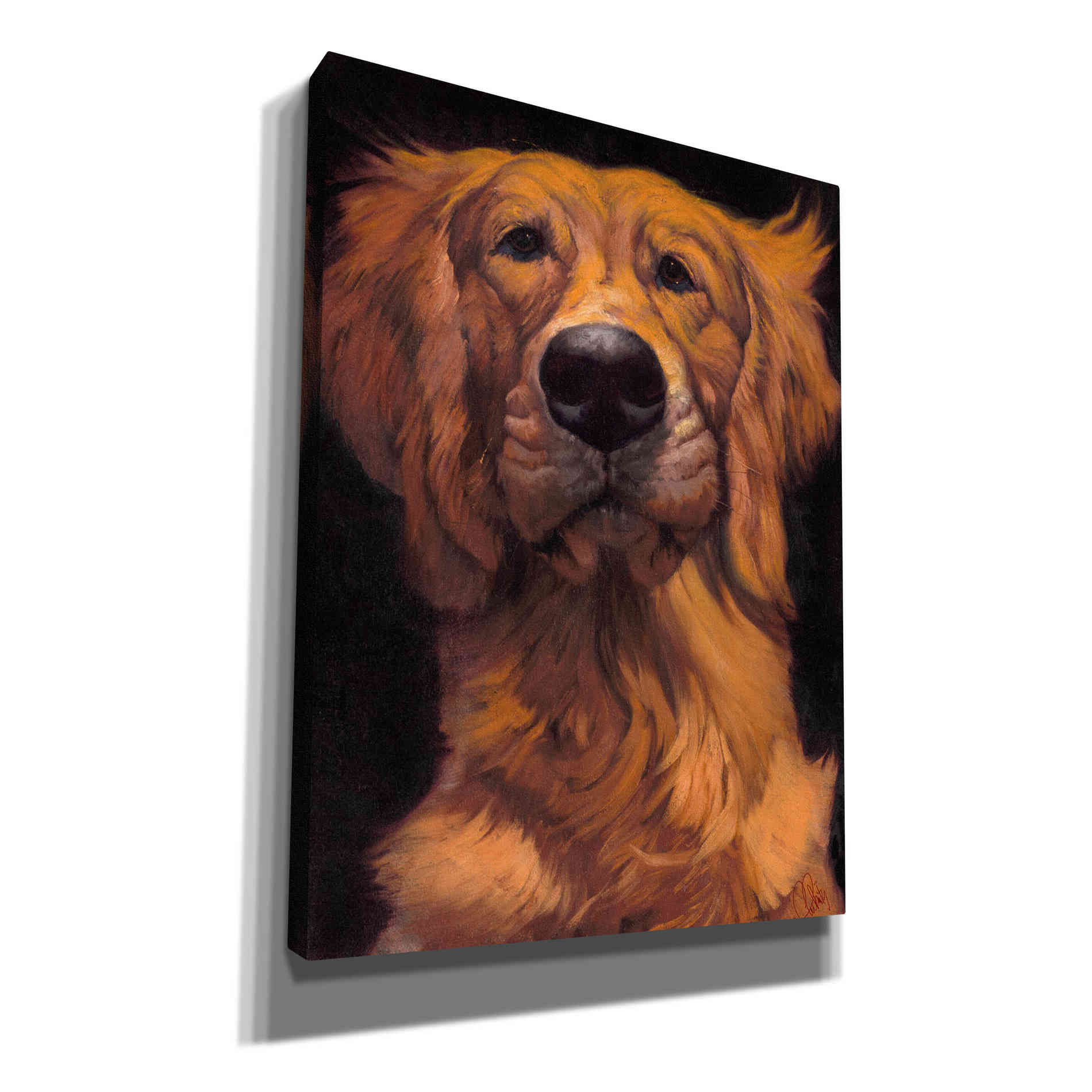 'Golden' by Thomas Fluharty, Canvas Wall Art