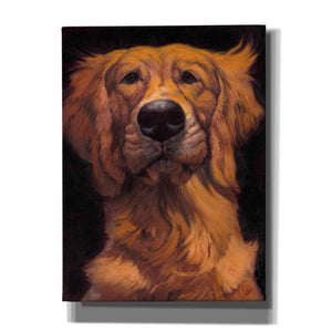 'Golden' by Thomas Fluharty, Canvas Wall Art