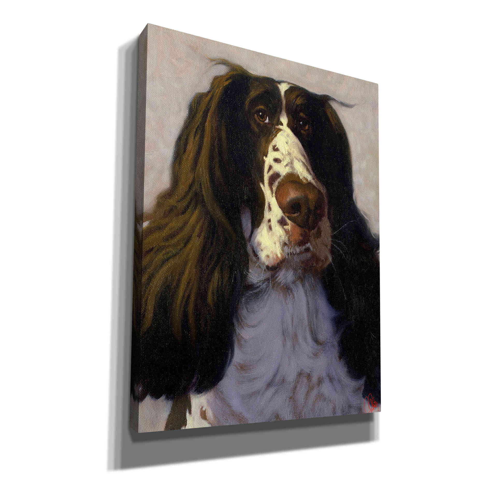 'Springer' by Thomas Fluharty, Canvas Wall Art