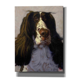 'Springer' by Thomas Fluharty, Canvas Wall Art