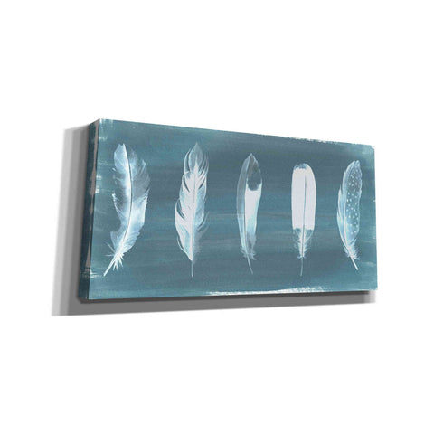 Image of 'Feathers on Dusty Teal' by Grace Popp, Canvas Wall Art