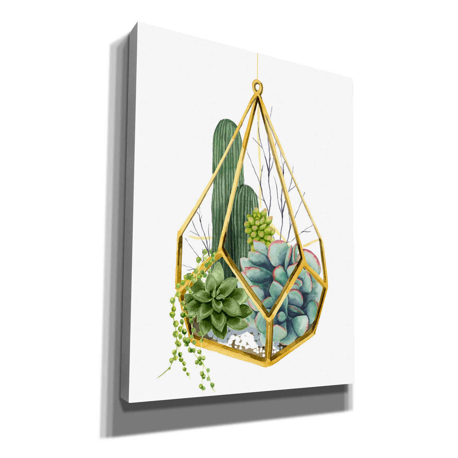 'Wild Terrarium IV' by Grace Popp, Canvas Wall Art