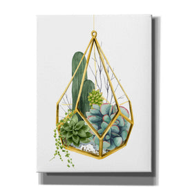 'Wild Terrarium IV' by Grace Popp, Canvas Wall Art