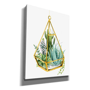 'Wild Terrarium III' by Grace Popp, Canvas Wall Art