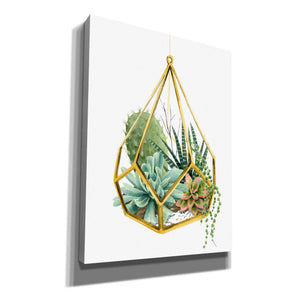 'Wild Terrarium II' by Grace Popp, Canvas Wall Art