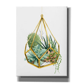 'Wild Terrarium II' by Grace Popp, Canvas Wall Art