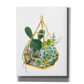 'Wild Terrarium I' by Grace Popp, Canvas Wall Art