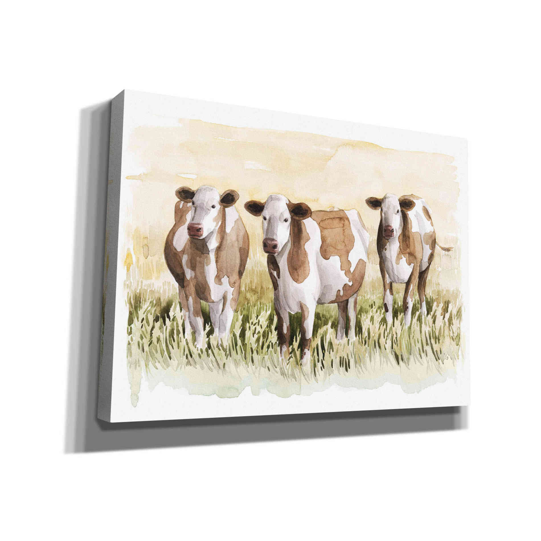 'Golden Graze II' by Grace Popp, Canvas Wall Art