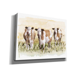 'Golden Graze II' by Grace Popp, Canvas Wall Art