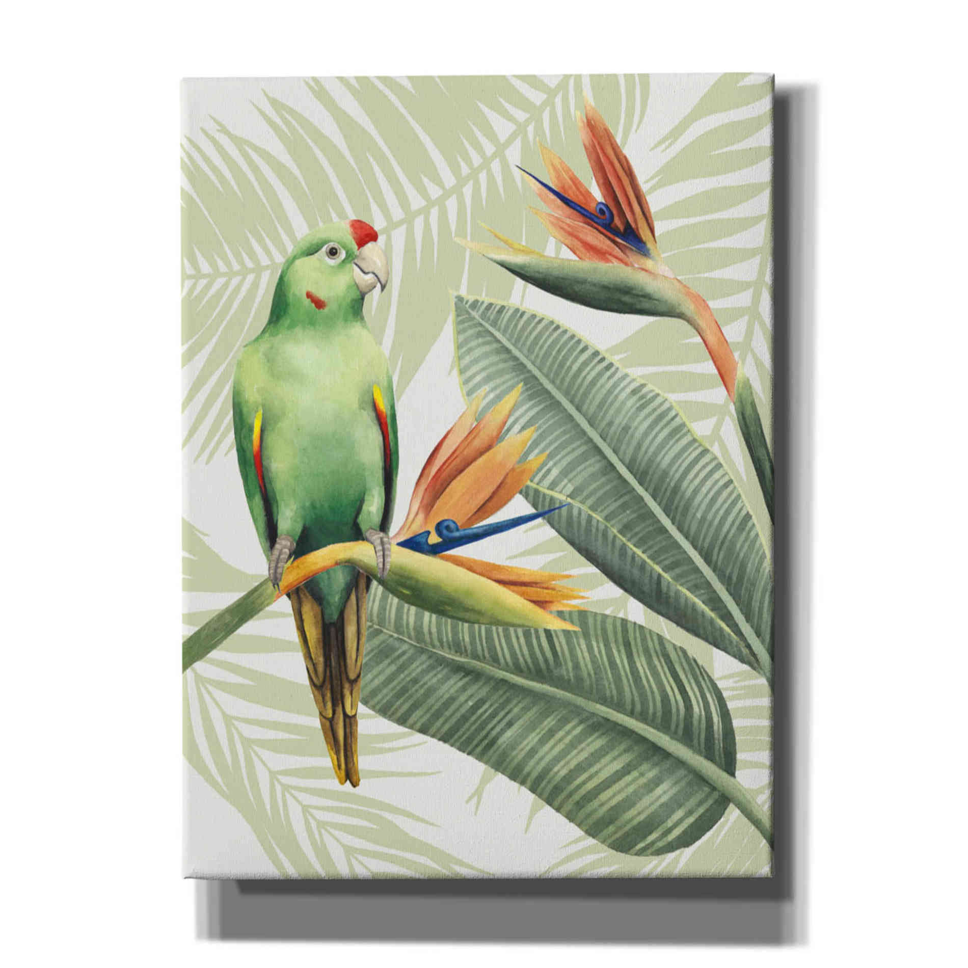 'Avian Paradise IV' by Grace Popp, Canvas Wall Art