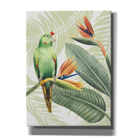 'Avian Paradise IV' by Grace Popp, Canvas Wall Art