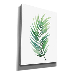 'Untethered Palm I' by Grace Popp, Canvas Wall Art