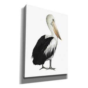 'Sea Bird IV' by Grace Popp, Canvas Wall Art