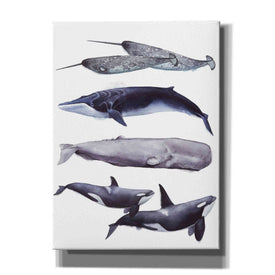 'Whale Stack II' by Grace Popp, Canvas Wall Art