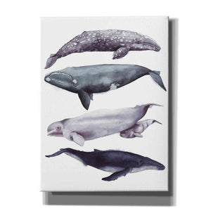 'Whale Stack I' by Grace Popp, Canvas Wall Art
