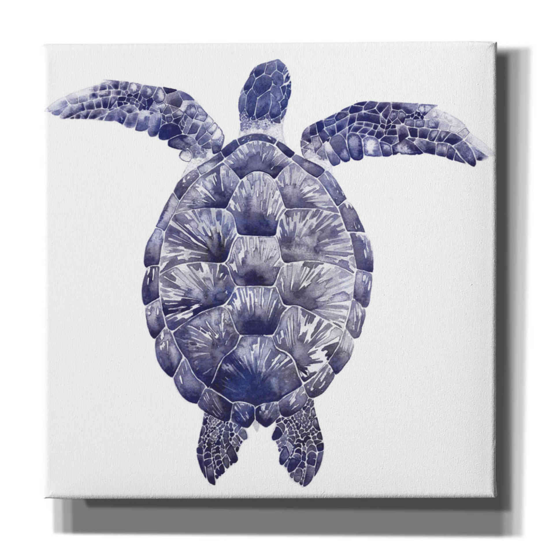'Marine Turtle I' by Grace Popp, Canvas Wall Art