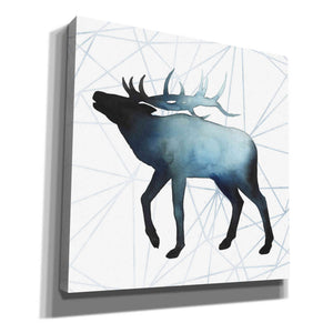 'Animal Silhouettes VI' by Grace Popp, Canvas Wall Art
