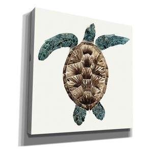 'Mosaic Turtle II' by Grace Popp, Canvas Wall Art