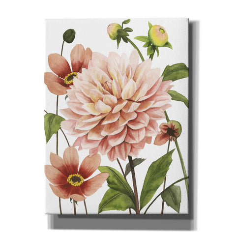 Image of 'Dahlia Spell I' by Grace Popp, Canvas Wall Art