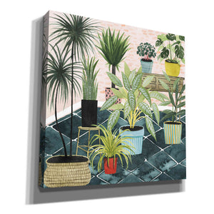 'Modern Jungle II' by Grace Popp, Canvas Wall Art