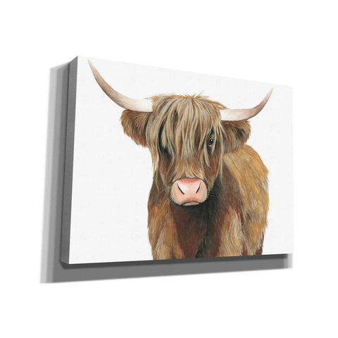 Image of 'Highland Cattle II' by Grace Popp, Canvas Wall Art