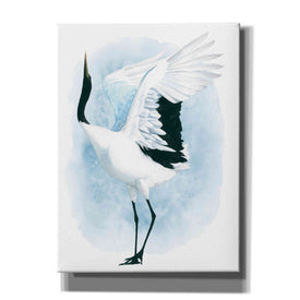 'Dancing Crane I' by Grace Popp, Canvas Wall Art
