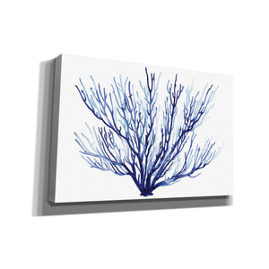 'Azure Fan II' by Grace Popp, Canvas Wall Art