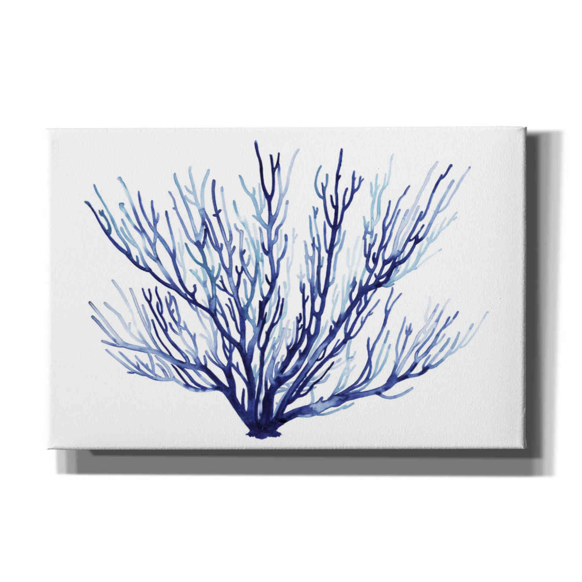 'Azure Fan II' by Grace Popp, Canvas Wall Art