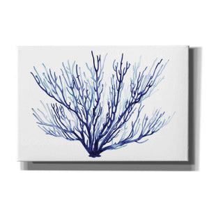 'Azure Fan II' by Grace Popp, Canvas Wall Art