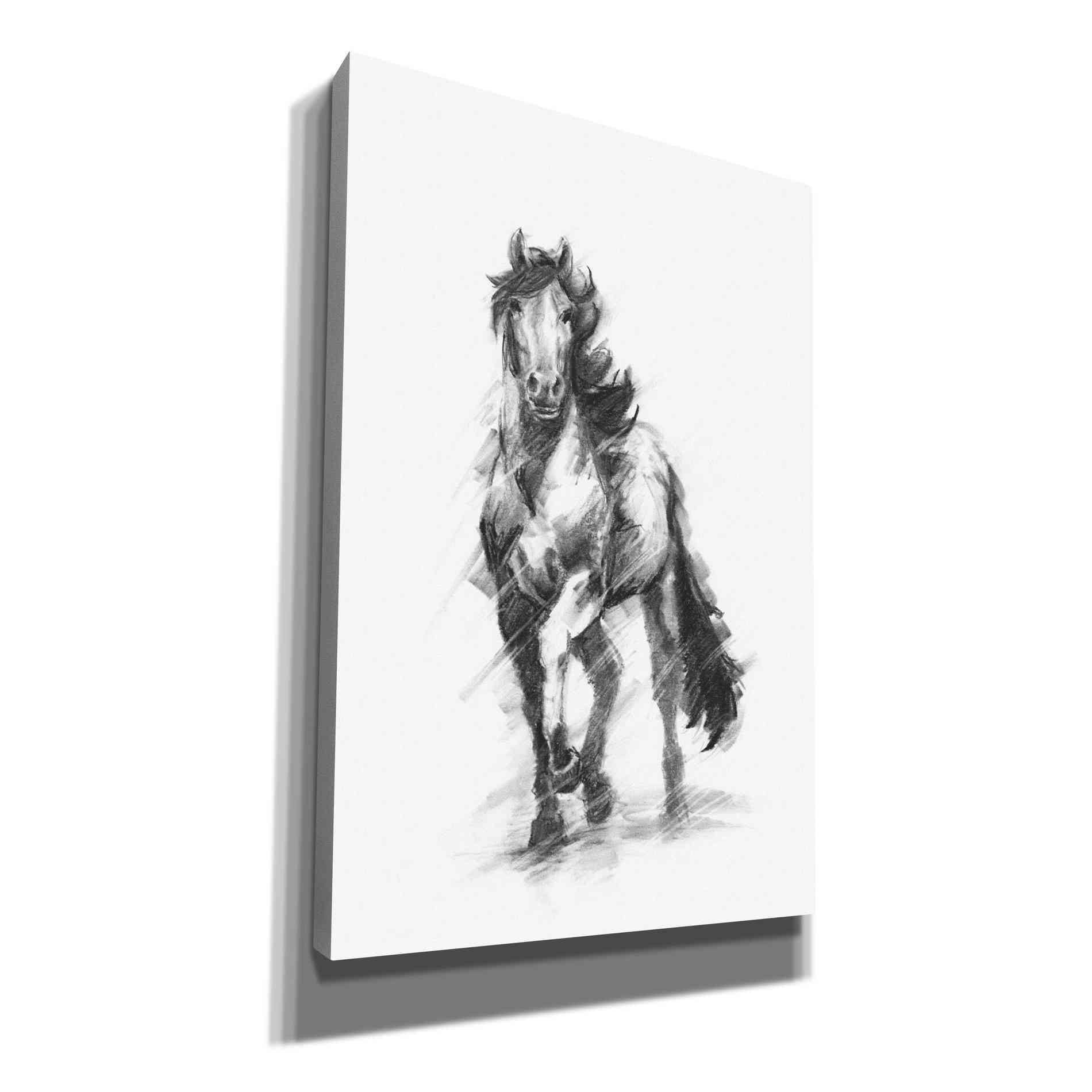 'Dynamic Equestrian I' by Ethan Harper, Canvas Wall Art
