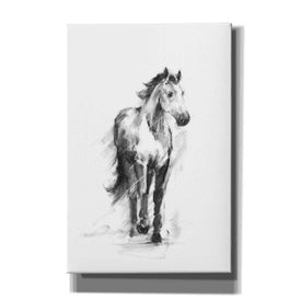 'Dynamic Equestrian II' by Ethan Harper, Canvas Wall Art