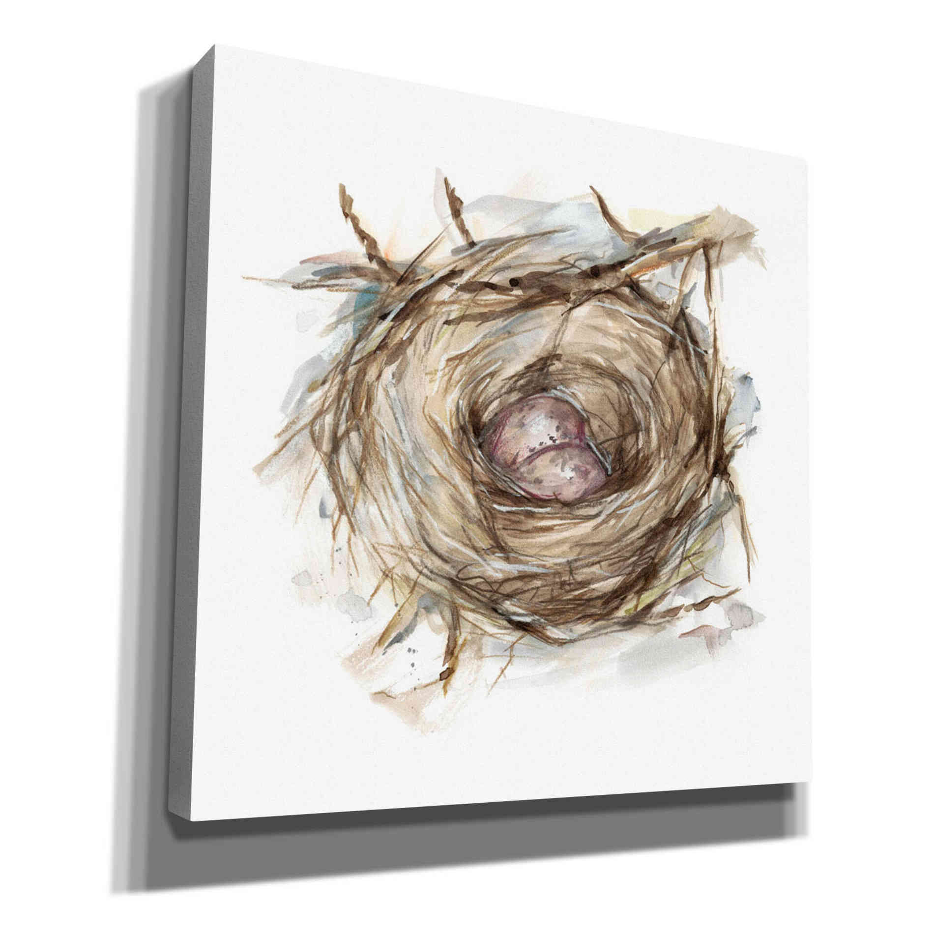 'Bird Nest Study IV' by Ethan Harper, Canvas Wall Art