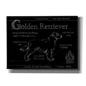 'Blueprint Golden Retriever' by Ethan Harper, Canvas Wall Art