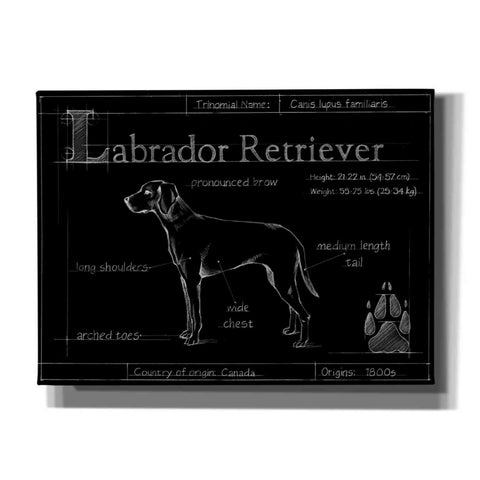 Image of 'Blueprint Labrador Retriever' by Ethan Harper, Canvas Wall Art