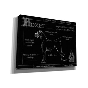 'Blueprint Boxer' by Ethan Harper, Canvas Wall Art