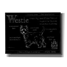 'Blueprint Westie II' by Ethan Harper, Canvas Wall Art