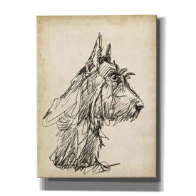 'Breed Studies I' by Ethan Harper, Canvas Wall Art