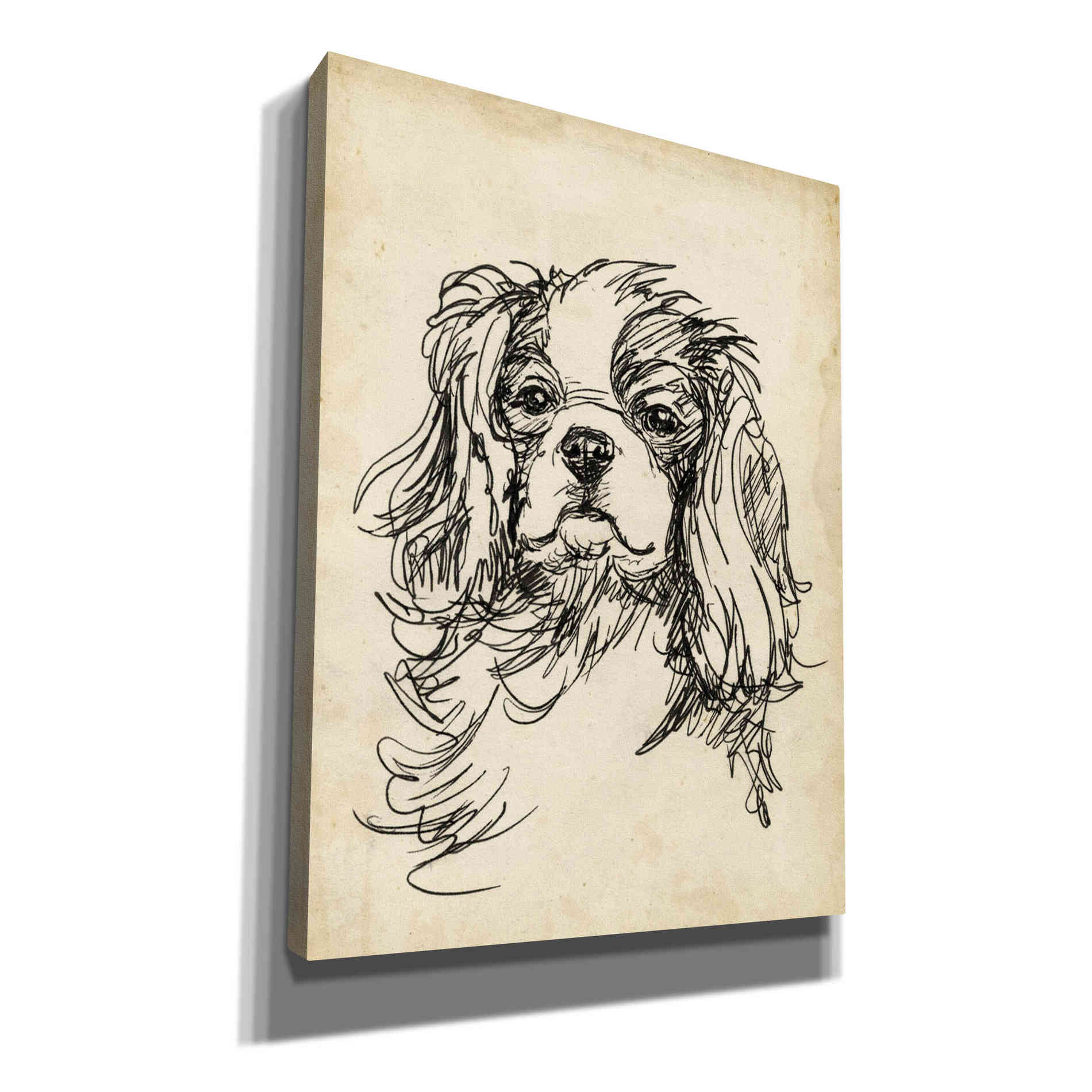 'Breed Studies II' by Ethan Harper, Canvas Wall Art