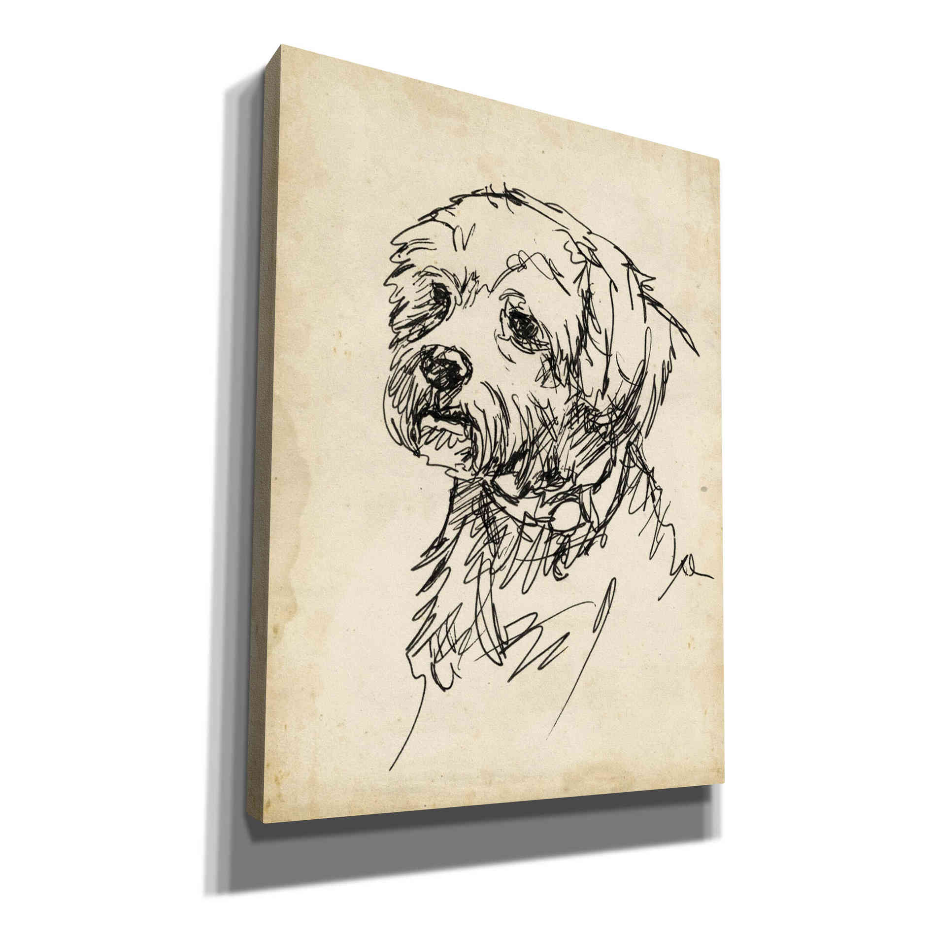 'Breed Studies III' by Ethan Harper, Canvas Wall Art