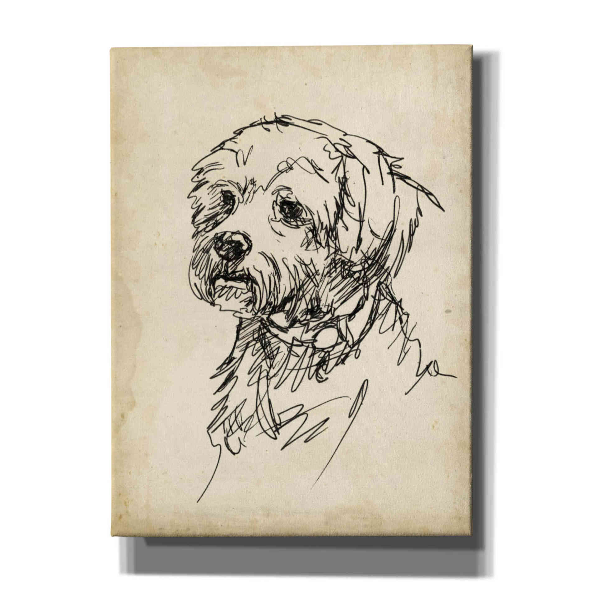 'Breed Studies III' by Ethan Harper, Canvas Wall Art