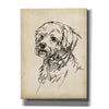 'Breed Studies III' by Ethan Harper, Canvas Wall Art