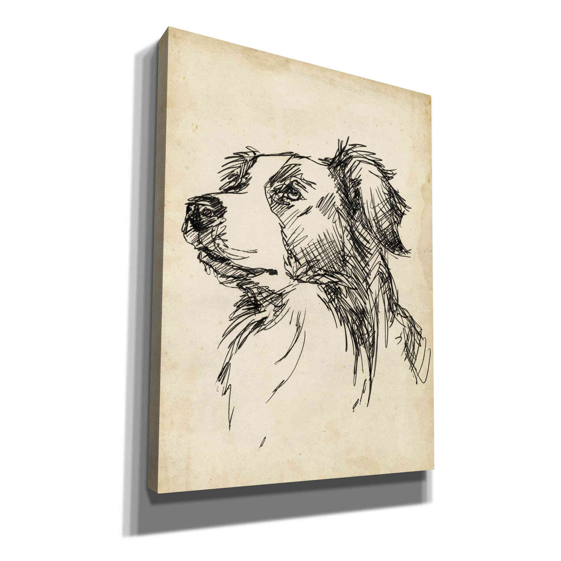 'Breed Studies IX' by Ethan Harper, Canvas Wall Art
