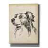 'Breed Studies IX' by Ethan Harper, Canvas Wall Art