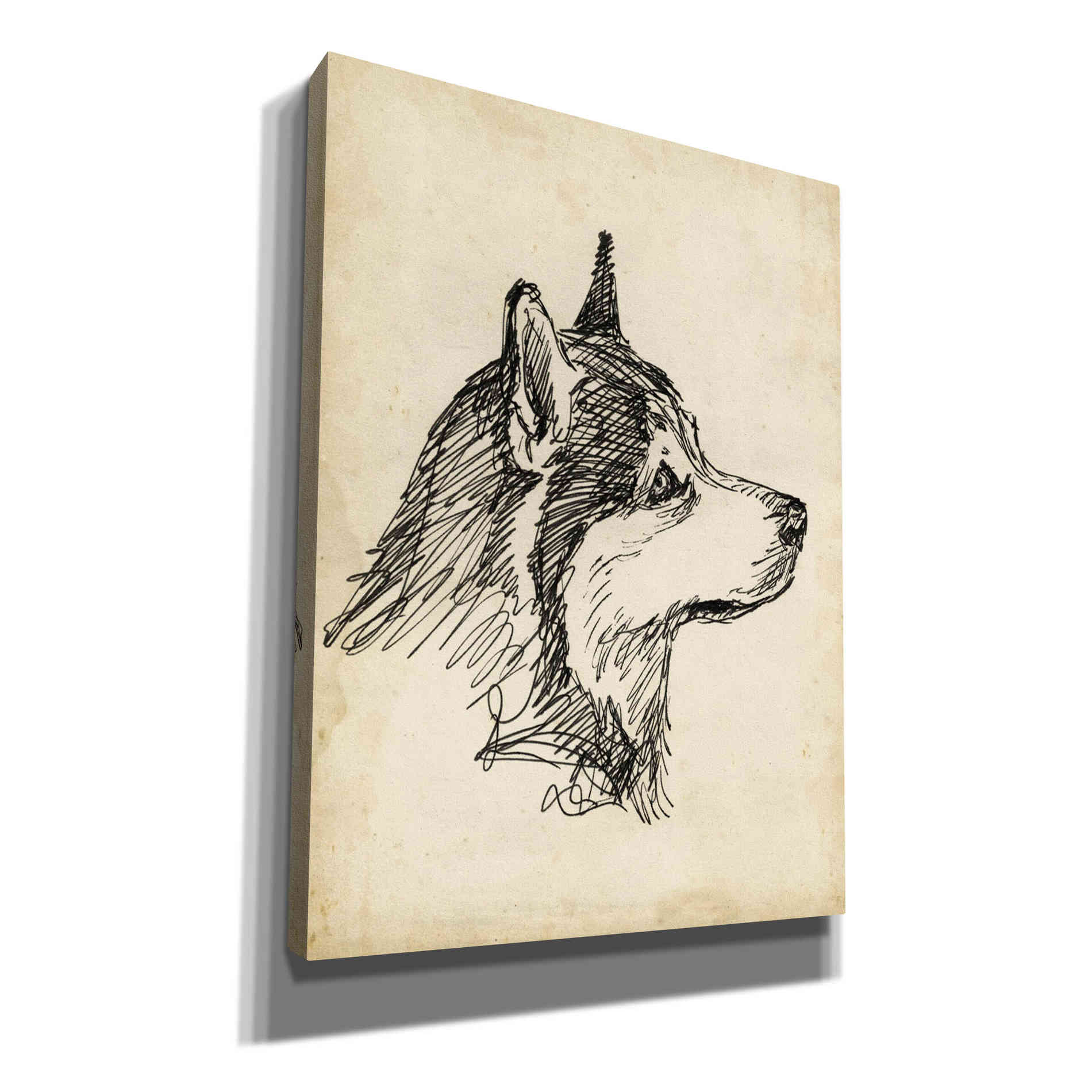 'Breed Studies X' by Ethan Harper, Canvas Wall Art